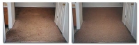Carpet Cleaning