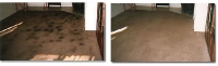 Carpet Cleaning