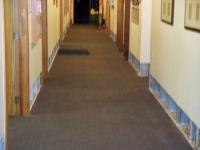 Carpet Cleaning