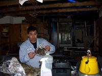 Fire Damage
