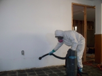 Mold Remediation